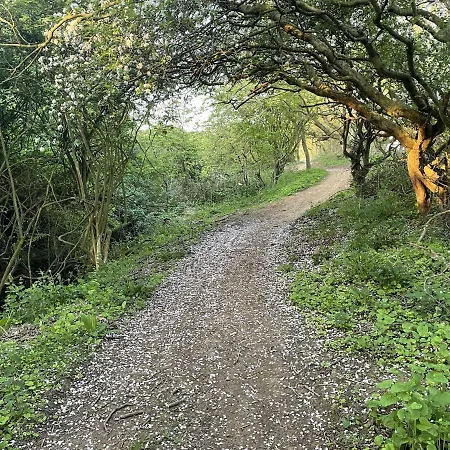 度假居 Echo 法利